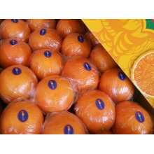 Naranja fresco del ombligo de la primera calidad